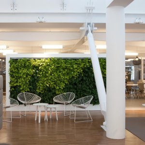 家庭办公桌前的 Leaf 椅（Arper）