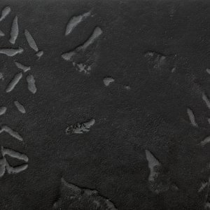 高人流办公区的 Chymia 地面