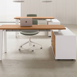 DVO Office E-Place 职员办公桌，白色 A 形钢架