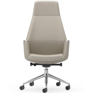 总经理办公室中的 Musa Chair