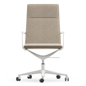 古铜色粉体涂装结构的 Valea Chair