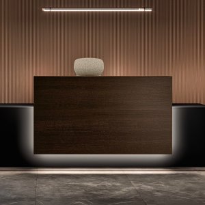 Bralco Lux 接待台的环形 LED 灯带